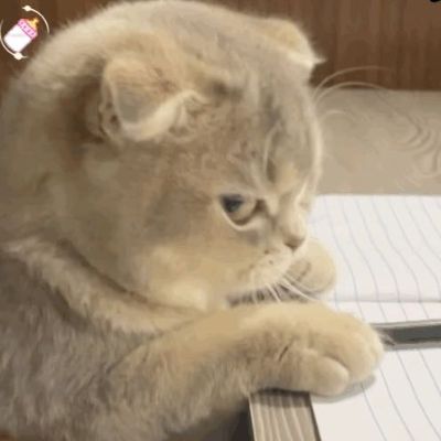 安装55寸电视+一张小床+2个镜柜