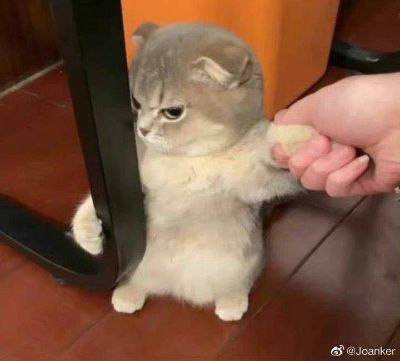 土建厨房设备土建厨房