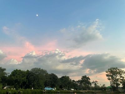 计算机打印机