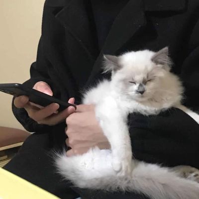 室内装修