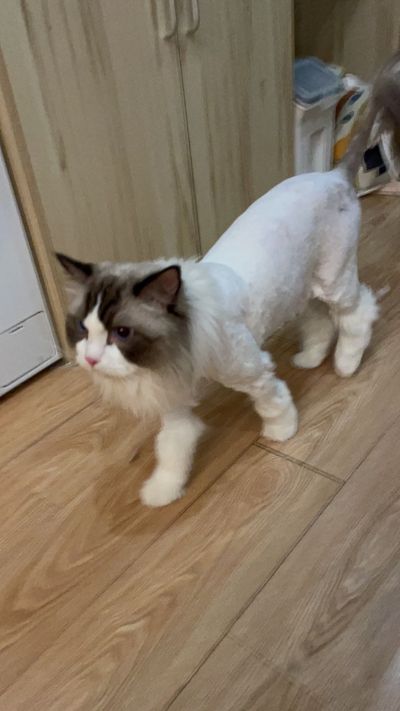 装修