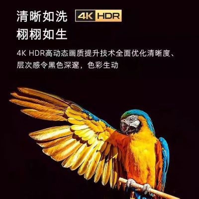 电脑