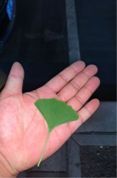 各种安装维修