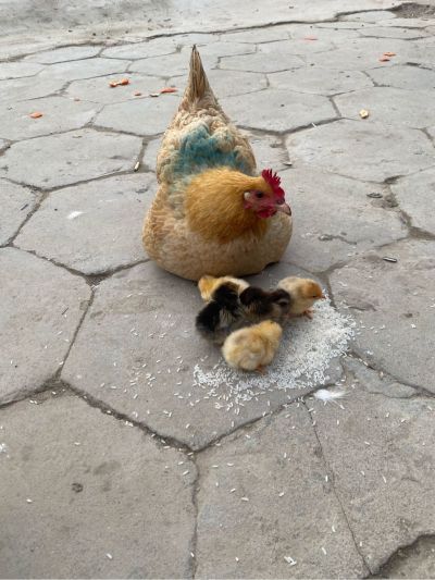 物流运输