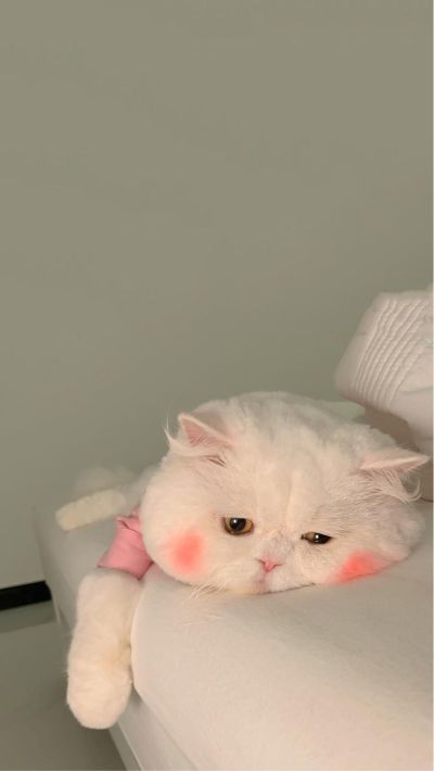 木工水电维修水电木工