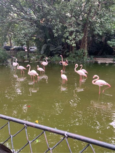 水电维修