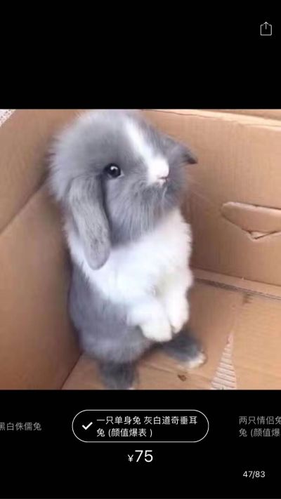 家装行业