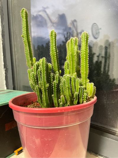 指纹锁安装