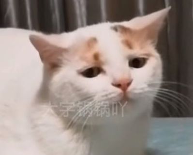 无