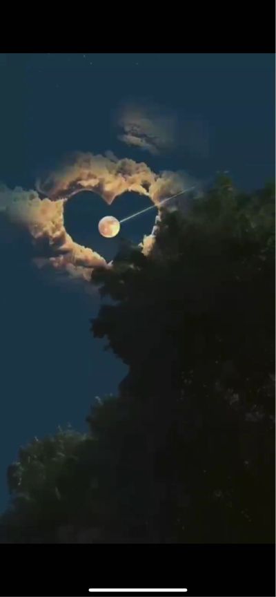 架子工
