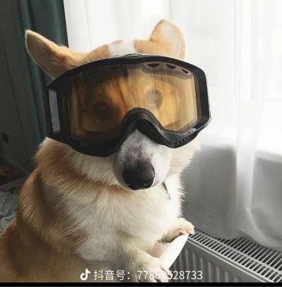 全屋定制