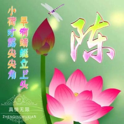 南方装修队