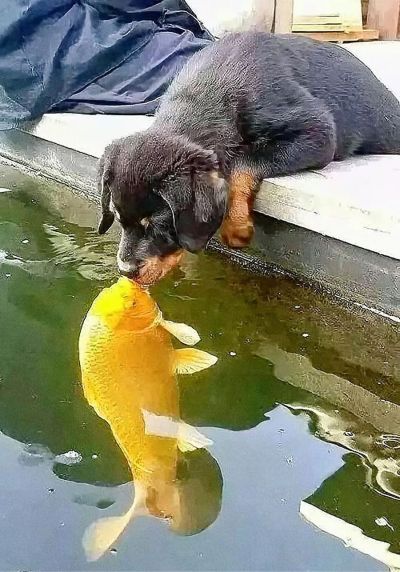 水电