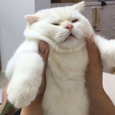 传媒