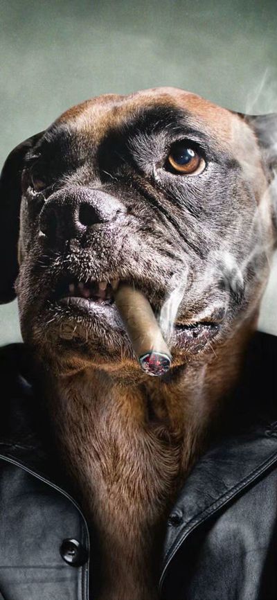 承接各种灵活