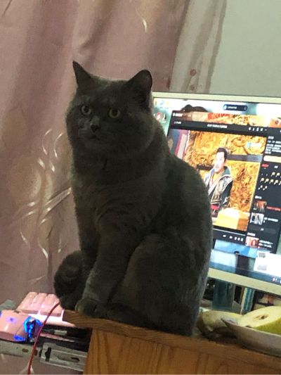 安装鞋柜