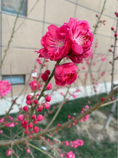 家电