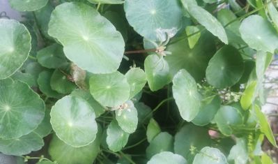 专业疏通管道地暖清洗空调维修