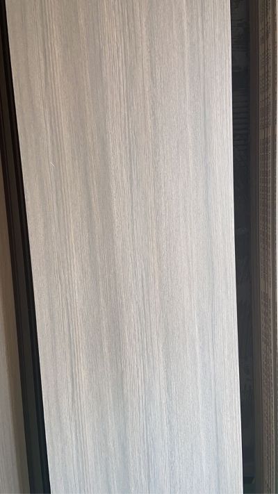 个体