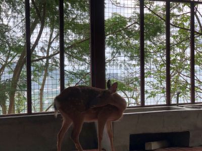 家具安装