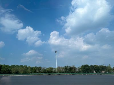 实际铺地毯面积大概40平左右，需要移动办公家具，拆除原有旧地毯并铺上新地毯，地址：浦东新区东方路877号嘉兴大厦
