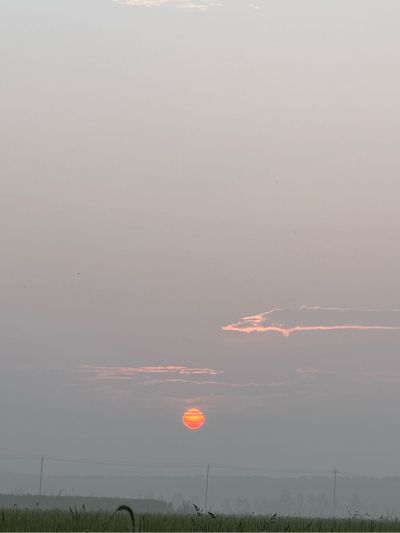 阿巴阿巴