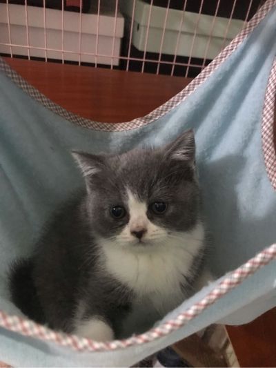 装修