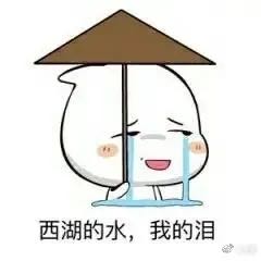 计算机莞深代驾接送随便果代理片仔癀代理