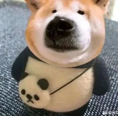 水电
