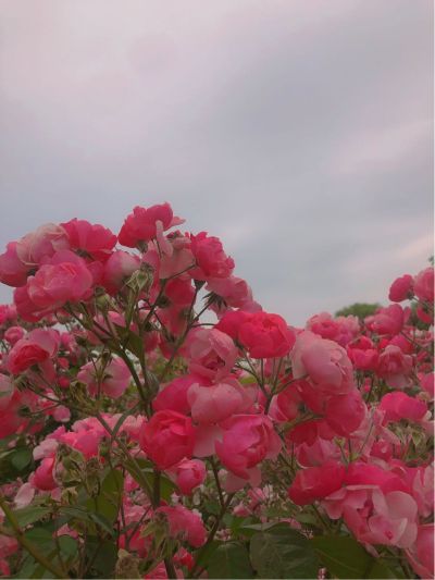家具