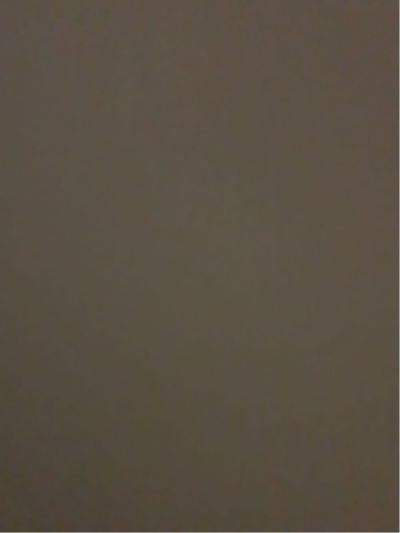 中介