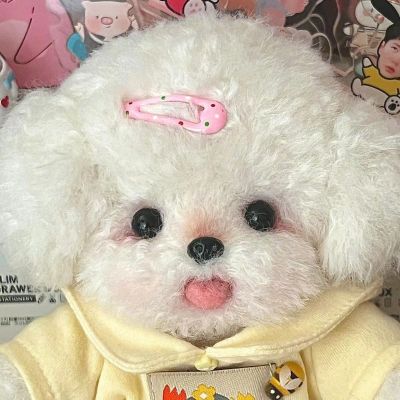 设计师