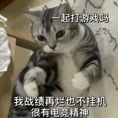 知识产权