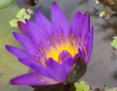 本人从事家庭装修瓷砖美缝，商铺地面美缝，工艺熟练，价格公道，有需要的朋友欢迎随时来电锤垂询！13917948018 张先生