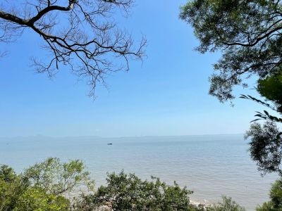 家电清洗家电清洗