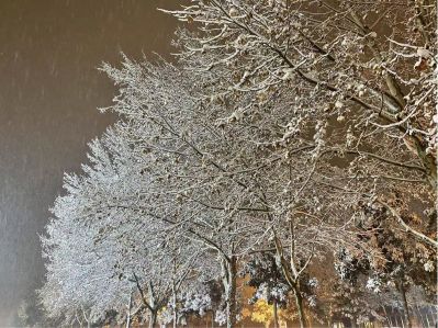 木工吊顶装修木工装修定制木工安装维修