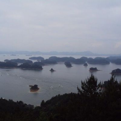 灯具开关