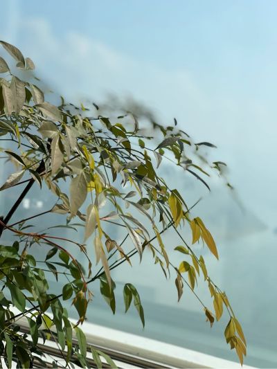 需要拆一个床再进行安装
