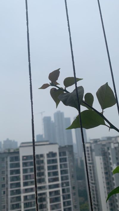 泥工