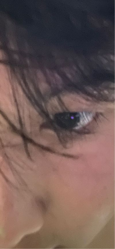 手机屏幕电池