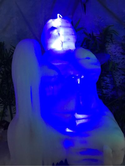 养生健康理疗