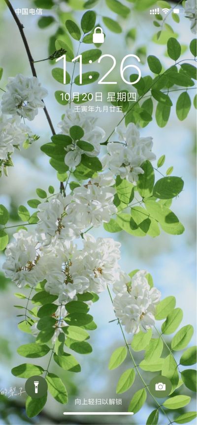 安装一个增压泵，需要会接水管的师傅，本人自备材料（需要师傅开清单），