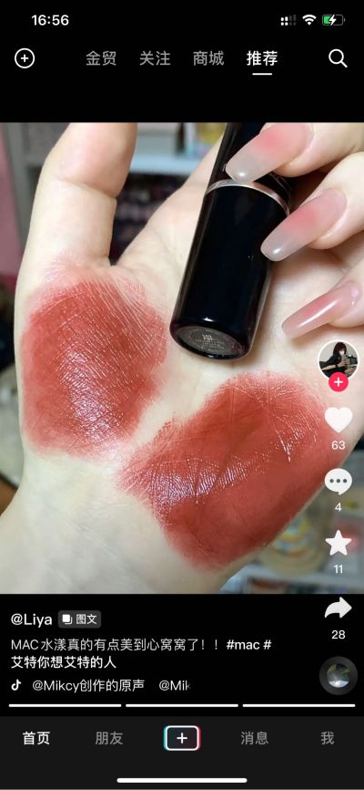 安装猫笼