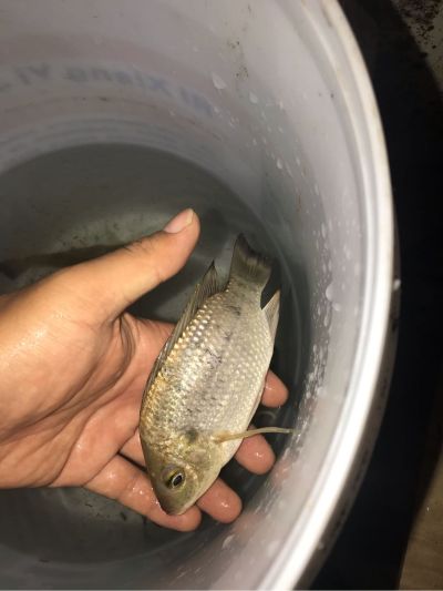 各种门安装门业安装