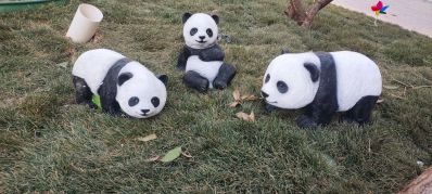 全职