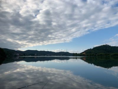 墙纸地毯安装