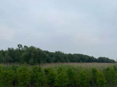 水龙头处松动了漏水  洗手池用玻璃胶粘在了墙上 需要拆除再打玻璃胶