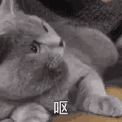 钢制家具