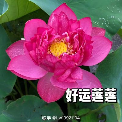 木器漆修补无