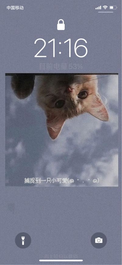 贴砖
